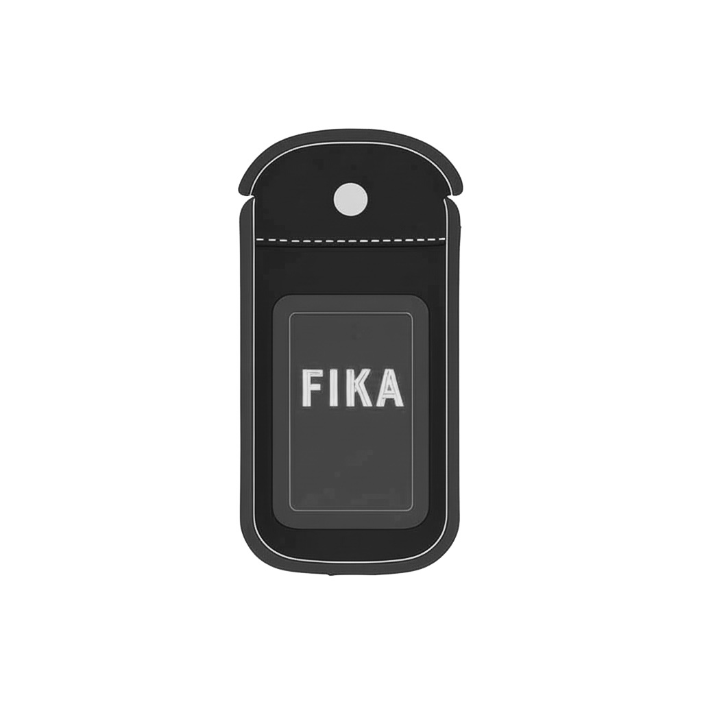 Secure case locking
